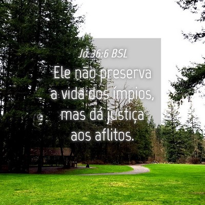 Picture 04 - Jó 36:6 BSL - Ele não preserva a vida dos ímpios, mas dá - Bible Verse Picture