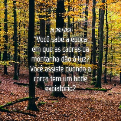 Picture 04 - Jó 39:1 BSL - “Você sabe a época em que as cabras da - Bible Verse Picture