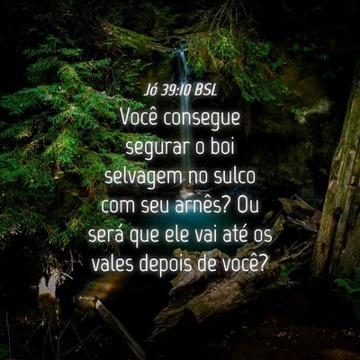 Picture 04 - Jó 39:10 BSL - Você consegue segurar o boi selvagem no sulco - Bible Verse Picture