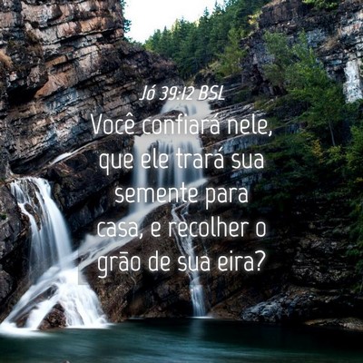 Picture 04 - Jó 39:12 BSL - Você confiará nele, que ele trará sua semente - Bible Verse Picture