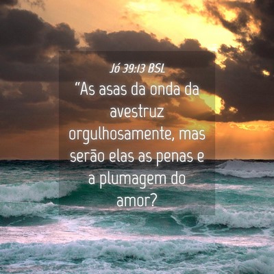 Picture 04 - Jó 39:13 BSL - “As asas da onda da avestruz orgulhosamente, - Bible Verse Picture