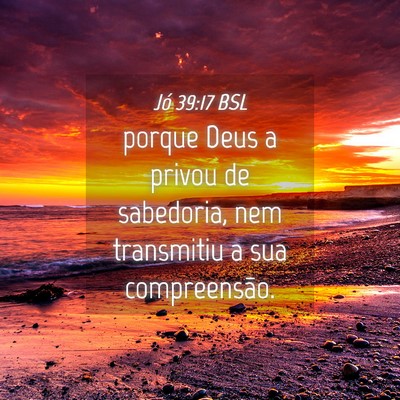 Picture 04 - Jó 39:17 BSL - porque Deus a privou de sabedoria, nem transmitiu - Bible Verse Picture