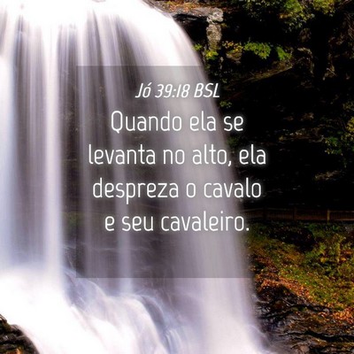 Picture 04 - Jó 39:18 BSL - Quando ela se levanta no alto, ela despreza o - Bible Verse Picture