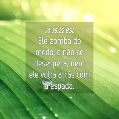 Picture 04 - Jó 39:22 BSL - Ele zomba do medo, e não se desespera, nem ele - Bible Verse Picture