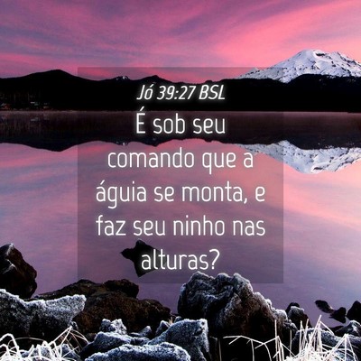 Picture 04 - Jó 39:27 BSL - É sob seu comando que a águia se monta, e faz - Bible Verse Picture