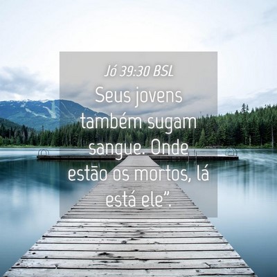 Picture 04 - Jó 39:30 BSL - Seus jovens também sugam sangue. Onde estão os - Bible Verse Picture