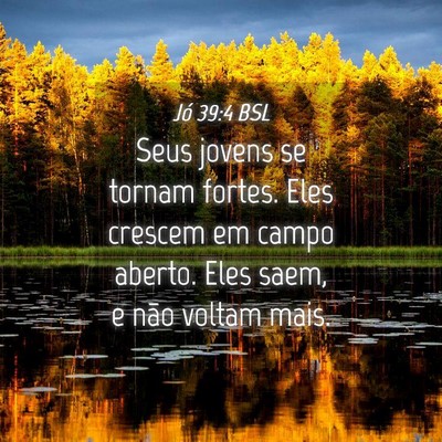 Picture 04 - Jó 39:4 BSL - Seus jovens se tornam fortes. Eles crescem em - Bible Verse Picture