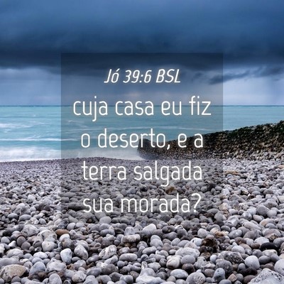 Picture 04 - Jó 39:6 BSL - cuja casa eu fiz o deserto, e a terra salgada sua - Bible Verse Picture