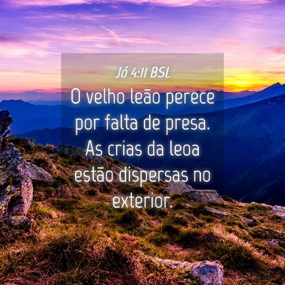 Picture 04 - Jó 4:11 BSL - O velho leão perece por falta de presa. As crias - Bible Verse Picture