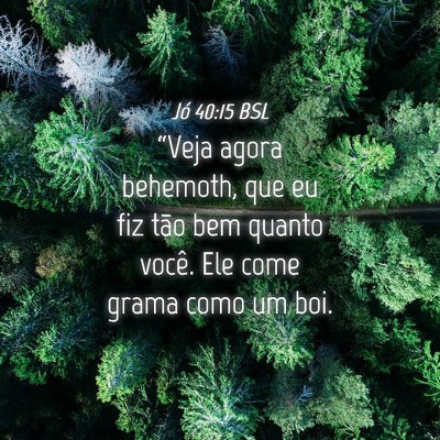 Picture 04 - Jó 40:15 BSL - “Veja agora behemoth, que eu fiz tão bem - Bible Verse Picture