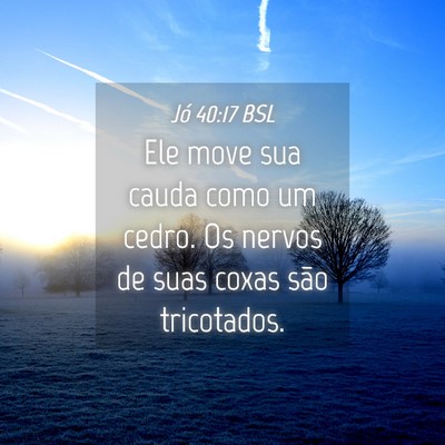 Picture 04 - Jó 40:17 BSL - Ele move sua cauda como um cedro. Os nervos de - Bible Verse Picture