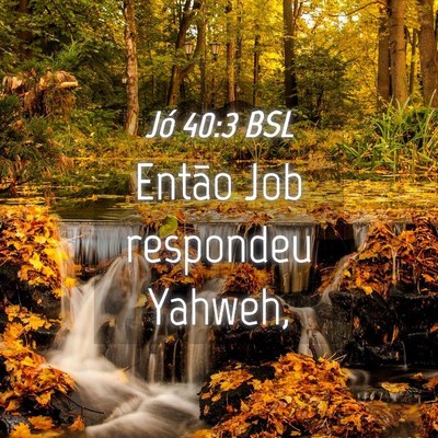 Picture 04 - Jó 40:3 BSL - Então Job respondeu - Bible Verse Picture