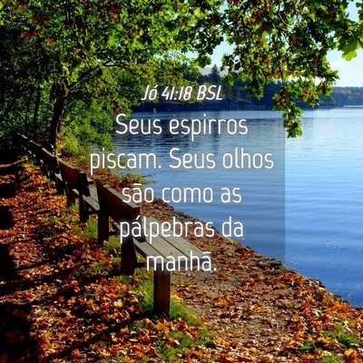 Picture 04 - Jó 41:18 BSL - Seus espirros piscam. Seus olhos são como as - Bible Verse Picture