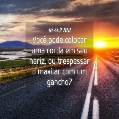 Picture 04 - Jó 41:2 BSL - Você pode colocar uma corda em seu nariz, ou - Bible Verse Picture