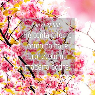 Picture 04 - Jó 41:27 BSL - He conta o ferro como palha, e bronze como - Bible Verse Picture