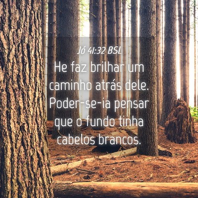 Picture 04 - Jó 41:32 BSL - He faz brilhar um caminho atrás dele. - Bible Verse Picture