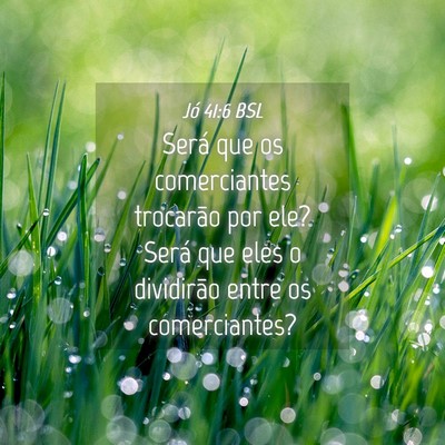 Picture 04 - Jó 41:6 BSL - Será que os comerciantes trocarão por ele? - Bible Verse Picture