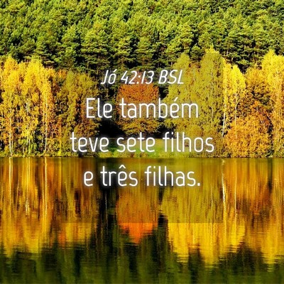 Picture 04 - Jó 42:13 BSL - Ele também teve sete filhos e três - Bible Verse Picture