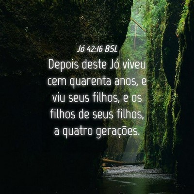 Picture 04 - Jó 42:16 BSL - Depois deste Jó viveu cem quarenta anos, e viu - Bible Verse Picture