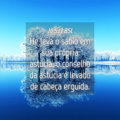 Picture 04 - Jó 5:13 BSL - He leva o sábio em sua própria astúcia; o - Bible Verse Picture