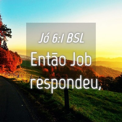 Picture 04 - Jó 6:1 BSL - Então Job - Bible Verse Picture