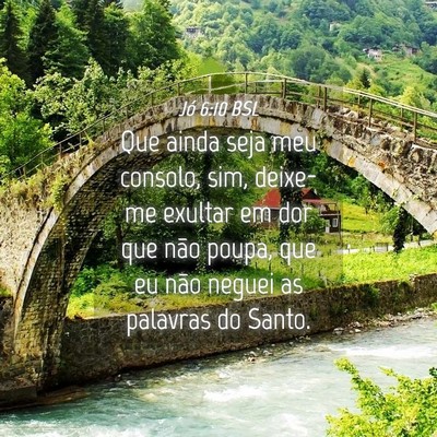 Picture 04 - Jó 6:10 BSL - Que ainda seja meu consolo, sim, deixe-me exultar - Bible Verse Picture