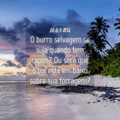 Picture 04 - Jó 6:5 BSL - O burro selvagem se suja quando tem capim? Ou - Bible Verse Picture