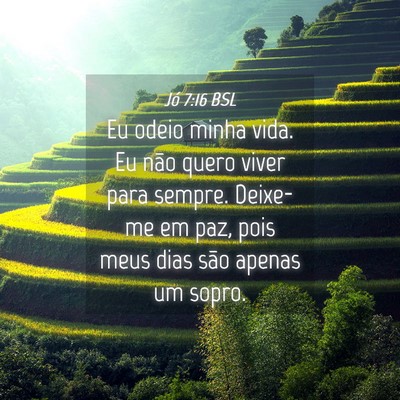 Picture 04 - Jó 7:16 BSL - Eu odeio minha vida. Eu não quero viver para - Bible Verse Picture
