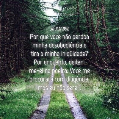 Picture 04 - Jó 7:21 BSL - Por que você não perdoa minha desobediência e - Bible Verse Picture