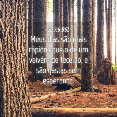 Picture 04 - Jó 7:6 BSL - Meus dias são mais rápidos que o de um vaivém - Bible Verse Picture