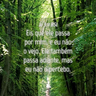 Picture 04 - Jó 9:11 BSL - Eis que ele passa por mim, e eu não o vejo. Ele - Bible Verse Picture