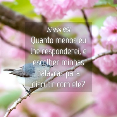 Picture 04 - Jó 9:14 BSL - Quanto menos eu lhe responderei, e escolher - Bible Verse Picture