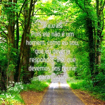 Picture 04 - Jó 9:32 BSL - Pois ele não é um homem, como eu sou, que eu - Bible Verse Picture