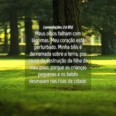 Picture 04 - Lamentações 2:11 BSL - Meus olhos falham com lágrimas. Meu coração - Bible Verse Picture
