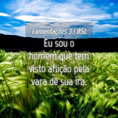 Picture 04 - Lamentações 3:1 BSL - Eu sou o homem que tem visto aflição pela vara - Bible Verse Picture