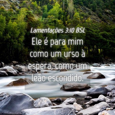 Picture 04 - Lamentações 3:10 BSL - Ele é para mim como um urso à espera, como um - Bible Verse Picture