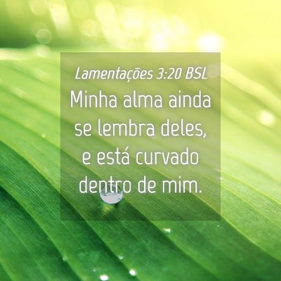 Picture 04 - Lamentações 3:20 BSL - Minha alma ainda se lembra deles, e está curvado - Bible Verse Picture