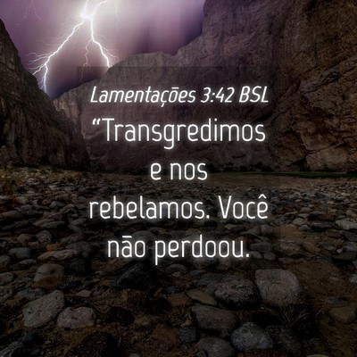 Picture 04 - Lamentações 3:42 BSL - “Transgredimos e nos rebelamos. Você não - Bible Verse Picture