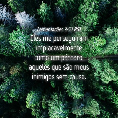 Picture 04 - Lamentações 3:52 BSL - Eles me perseguiram implacavelmente como um - Bible Verse Picture