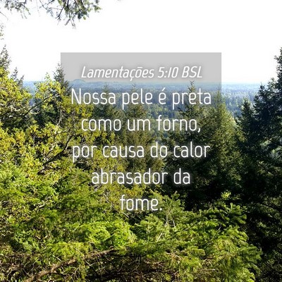 Picture 04 - Lamentações 5:10 BSL - Nossa pele é preta como um forno, por causa do - Bible Verse Picture