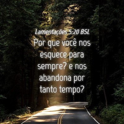 Picture 04 - Lamentações 5:20 BSL - Por que você nos esquece para sempre? e nos - Bible Verse Picture