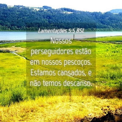 Picture 04 - Lamentações 5:5 BSL - Nossos perseguidores estão em nossos pescoços. - Bible Verse Picture