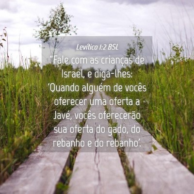 Picture 04 - Levítico 1:2 BSL - “Fale com as crianças de Israel, e diga-lhes: - Bible Verse Picture