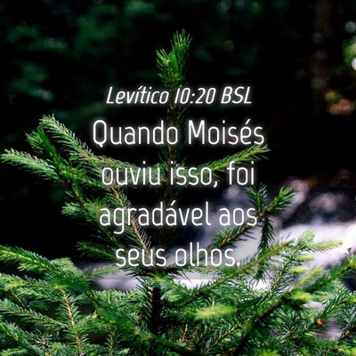 Picture 04 - Levítico 10:20 BSL - Quando Moisés ouviu isso, foi agradável aos - Bible Verse Picture