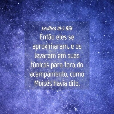 Picture 04 - Levítico 10:5 BSL - Então eles se aproximaram, e os levaram em suas - Bible Verse Picture