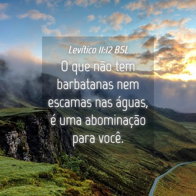 Picture 04 - Levítico 11:12 BSL - O que não tem barbatanas nem escamas nas águas, - Bible Verse Picture