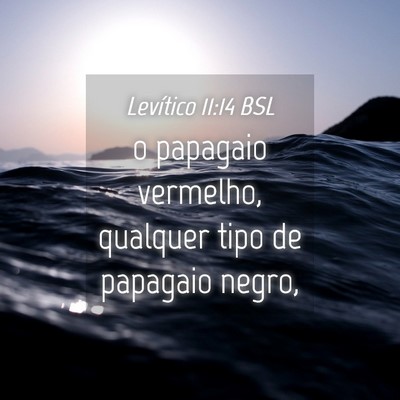 Picture 04 - Levítico 11:14 BSL - o papagaio vermelho, qualquer tipo de papagaio - Bible Verse Picture