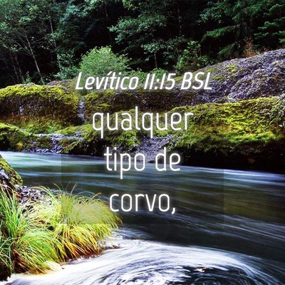 Picture 04 - Levítico 11:15 BSL - qualquer tipo de - Bible Verse Picture
