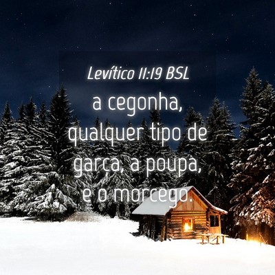 Picture 04 - Levítico 11:19 BSL - a cegonha, qualquer tipo de garça, a poupa, e o - Bible Verse Picture
