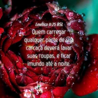 Picture 04 - Levítico 11:25 BSL - Quem carregar qualquer parte de sua carcaça - Bible Verse Picture
